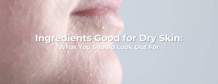 Ingredients Good for Dry Skin: What You Should Look Out For