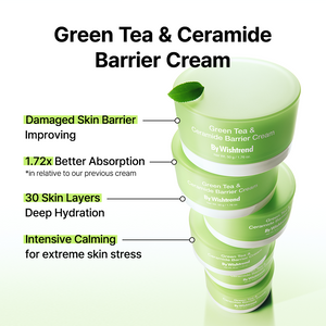 Green Tea & Ceramide Barrier Cream 50g - By Wishtrend Malaysia