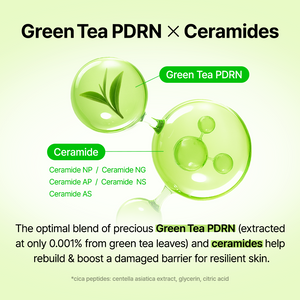 Green Tea & Ceramide Barrier Cream 50g - By Wishtrend Malaysia