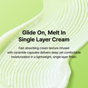 Green Tea & Ceramide Barrier Cream 50g - By Wishtrend Malaysia