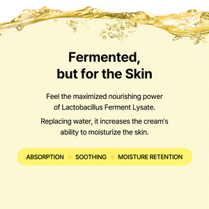 Propolis Energy Balancing Cream 50g - By Wishtrend Malaysia